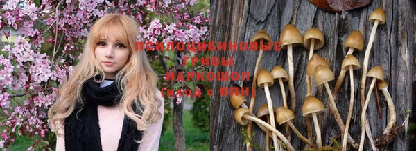 jwh Каменск-Шахтинский