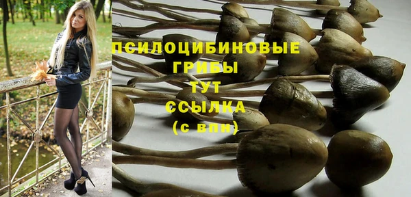 jwh Каменск-Шахтинский