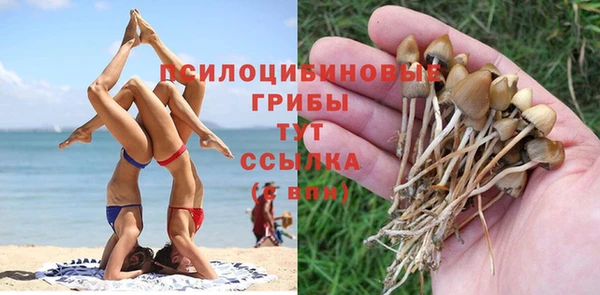 mix Каменка